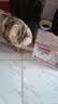 优趣猫粮全价粮通用成猫幼猫粮成年猫高蛋白营养天然英短蓝猫 无谷鲜肉粮cp40%高蛋白1.5kg*2袋 实拍图