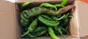【东东买菜】新鲜薄皮肉厚香辣螺丝椒新鲜采摘青椒虎皮辣椒 新鲜螺丝椒净重3.6斤 实拍图