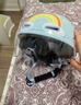 京东京造 儿童电动车头盔 3C认证 新国标A类 加厚缓冲层 电瓶车头盔蓝M码50-56cm 实拍图