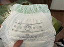 babycare金山茶花婴儿拉拉裤试用装XL码3片(12-17kg)尿不湿【新老混发】 实拍图