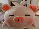 名创优品（MINISO）小猪B-BO翅膀款趴毛绒公仔玩具玩偶抱枕娃娃靠枕生日礼物女 实拍图
