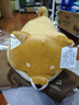 名创优品（MINISO）柴犬系列毛绒公仔趴姿玩具娃娃抱枕睡觉卧室办公室午睡枕生日礼物 实拍图