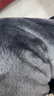 杉杉【重磅100%山羊绒】针织衫冬季圆领不掉色抗起球软糯亲肤毛衣男 实拍图