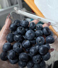 怡颗莓Driscoll's 云南蓝莓14mm+ 4盒装 约125g/盒 新鲜水果 实拍图