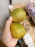 京觅福建红心芭乐 番石榴 应季 低糖水果单果130g起 净重2.5-3斤装 实拍图