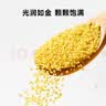 窝小芽有机黄小米500g/盒 营养五谷粗粮谷物粥米享儿童辅食食谱自制辅食 实拍图