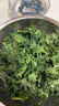 新鲜羽衣甘蓝生鲜蔬菜嫩叶甘兰芥蓝西餐沙拉榨汁减肥减脂直播间 羽衣甘蓝减脂尝鲜装1斤 实拍图