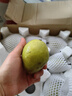 精选红香酥梨新鲜水果当季薄皮特级香梨青皮酥梨脆蜜雪梨整箱包邮 精选中果净重9斤 实拍图