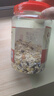 福事多水果坚果混合燕麦片1kg/桶全谷物配方0添加剂冲泡饮品早餐代餐 实拍图