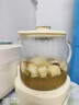 小熊（Bear）全玻璃养生壶 纯玻璃煮茶壶恒温壶 多功能炖煮花茶壶 1.5L YSH-H15L2 实拍图