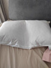 MUJI羽毛枕 星级酒店枕芯全棉羽绒羽毛枕柔软鸭毛枕头枕芯 48*74cm 实拍图