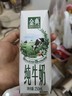 伊利【新鲜日期】金典纯牛奶早餐奶整箱250ml*16盒 3.6g乳蛋白 礼盒装 实拍图