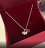 AGATHA/瑷嘉莎 爱心小狗银项链女款 生日礼物送女友老婆高级感吊坠 玛瑙红+银色 实拍图