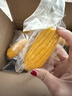 当季新货头茬东北黄甜糯玉米棒真空包装低脂黄糯大棒甜东北黏苞米 黄糯玉米12支净重2000g 130-180克/根 实拍图
