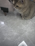 靓贝猫粮 幼猫成猫全阶段猫粮 英短美短加菲猫 牛肉三文鱼猫粮500g*5 实拍图