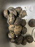 【东东买菜】新鲜马蹄荸荠当季现挖直发荸荠水果包邮脆甜多汁 新鲜马蹄 带箱1斤 实拍图