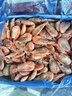 禧美海产加拿大北极甜虾净重3斤/盒 90/120规格 熟冻  MSC认证 轻食海鲜 实拍图