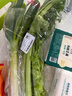 【农户直通车】大葱约500g 实拍图