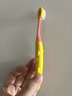 狮王(lion)细齿洁极细毛儿童牙刷双重适齿2岁以上3支新老包装随机 实拍图