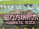 布鲁奇我的世界磁力方块儿童玩具3-6岁磁力积木磁铁磁力片男孩1-3岁礼物 实拍图