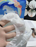 德佑婴儿拉拉裤超薄透气弱酸彩虹PP裤干爽柔软宝宝尿不湿 XXL码21片/包*2包【15KG以上】 实拍图