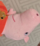 小猪佩奇玩偶毛绒玩具3岁公仔娃娃佩琪女孩生日礼物 实拍图