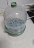 九阳（Joyoung）煮蛋器多功能智能蒸蛋器 14个蛋量 ZD14-GE140（飞泉绿） 实拍图