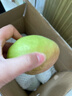 京鲜生 新疆库尔勒香梨 净重4.5斤 单果140g+ 生鲜水果 实拍图