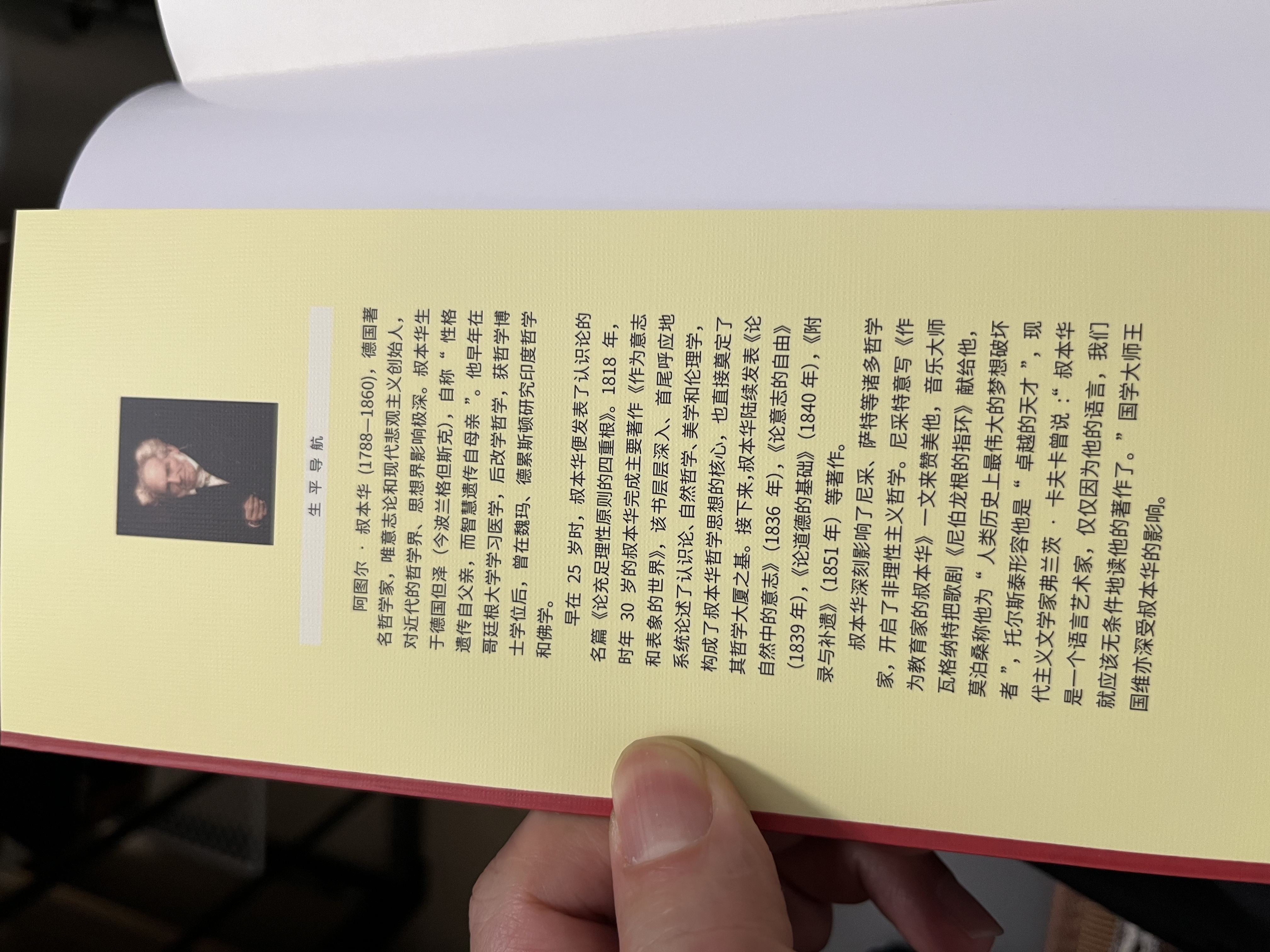 人生的智慧：大哲学家叔本华花甲之年的成名作（京东定制） 实拍图