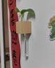 花点馨意水培容器小花瓶实木插花器创意试管磁吸冰箱贴装饰 混色2个装8944 实拍图
