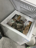 荣事达（Royalstar）小冰柜家用小型冷冻保鲜迷你冷藏商用卧式冷柜单用储母乳柜节能省电 【一级节能 全国联保】单温 118L 实拍图