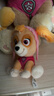 汪汪队立大功（PAW PATROL）毛绒玩具狗狗陪睡玩偶经典款天天小号坐姿可爱公仔男女孩生日礼物 实拍图