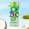 百森生榨椰汁 植物蛋白椰汁饮料245ml*12罐 整箱装 实拍图