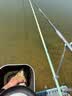 达亿瓦（DAIWA） DAIWA 21天岭 SS Q轻量鲫鱼竿振出式钓鱼竿手竿高碳轻量钓竿长尺 硬调61 实拍图