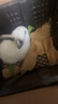 朗缤 兔子活体宠物兔活体新西兰肉兔公主兔小白荷兰侏儒活物兔子宠物 黑耳熊猫公主兔1只 实拍图