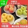 京鲜生山东三色苹果礼盒装 净重4.2斤 单果200g起 源头直发包邮 实拍图
