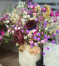 爱满（AIMAN）满天星天然干花花束ins网红生日 新房装饰摆件风干真插花家居摆设 白+紫+桃红满天星  【不带花瓶】 实拍图
