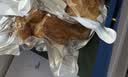 紫光园 清真纯肉高端熟食礼盒酱牛羊肉北京特产老字号回民中秋送礼3500g 晒单实拍图