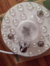 雷士（NVC）led灯盘吸顶灯替换灯芯灯板磁吸灯泡灯条贴片替换灯盘光源灯管 12W白光/建议8-12㎡(含接线柱) 实拍图