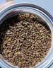 古茶养仁特级黑苦荞茶四川大凉山全颗粒胚芽养生茶500g 1罐【500g】体验装 实拍图