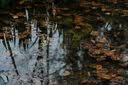 永诺（YONGNUO） YN50mm F1.8适用于索尼口适用于尼康口微单大光圈自动对焦镜头 YN50mm F1.8S 二代索尼E口半画幅 实拍图