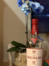 麦卡伦(THE MACALLAN)经典雪莉桶 单桶  12年 单一麦 威士忌 春节 年货 晒单实拍图