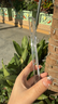 ALittleFlower【热销40W+冰透散热】适用苹果16promax手机壳iphone16promax保护套磁吸新款超薄防摔高透白男女款 实拍图