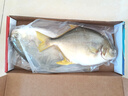翔泰冷冻二去金鲳鱼礼盒2斤2条净重免处理生鲜鱼类海鲜水产 实拍图