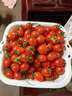 京鲜生山东红色圣女果净重3斤 小番茄西红柿新鲜水果蔬菜源头直发 实拍图