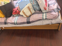 京东京造抗菌云感棉花床垫 新疆棉床褥加厚可折叠学生四季可用软垫 1.5x2m 实拍图