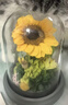 Para Ella向日葵永生花高级生日礼物女伴手礼一举夺魁金榜题名母亲节情人节 实拍图