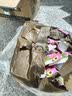 地板清洁剂养护去污瓷砖清洗剂抛光拖木地板大理石 香氛拖地清洁剂500g（限时抢购） 实拍图