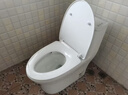 九牧（JOMOO）11173-2-1/41KD-3大力神普通马桶家用虹吸抗菌节水坐便器400坑距 实拍图