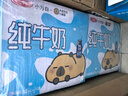 三元小方白纯牛奶200ml*24盒 100%生牛乳 年货送礼 实拍图